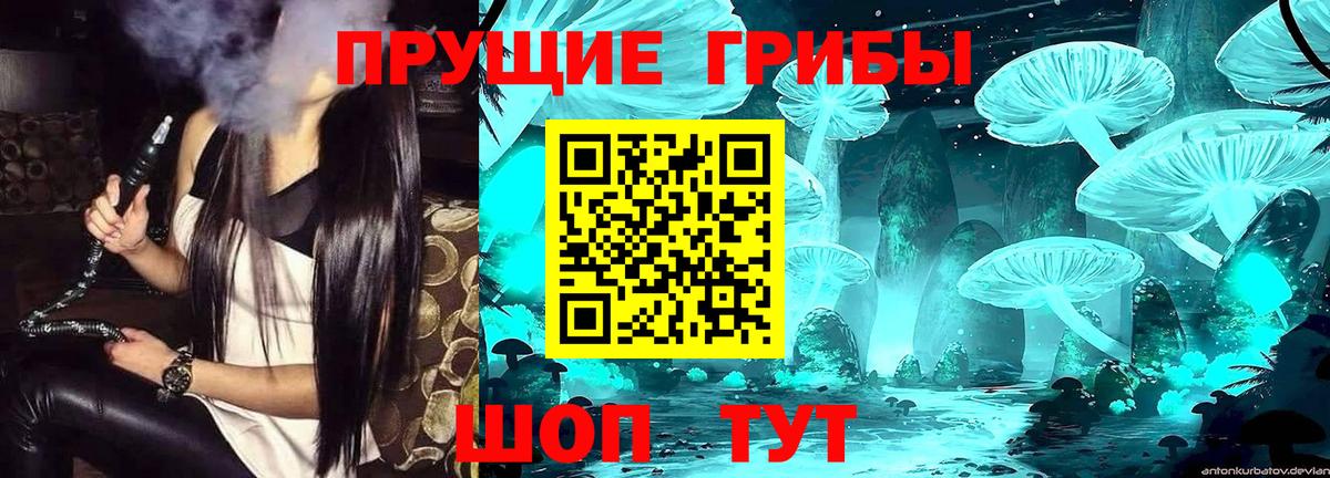 Галлюциногенные грибы Cubensis Златоуст