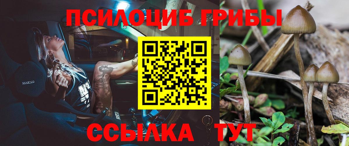 Галлюциногенные грибы GOLDEN TEACHER  Галлюциногенные грибы мицелий  Златоуст  купить закладку  Вход с VPN 